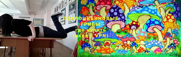мдпв Абинск
